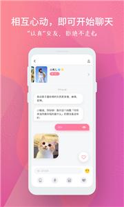 分配对象交友  v2.1.3