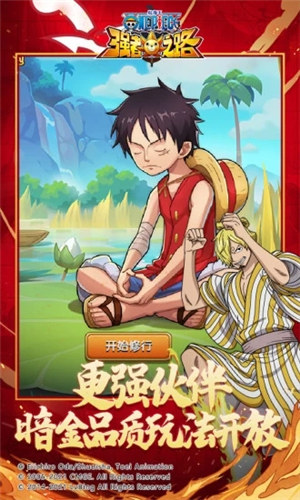 航海王强者之路变态版无限资源 v3.0.1