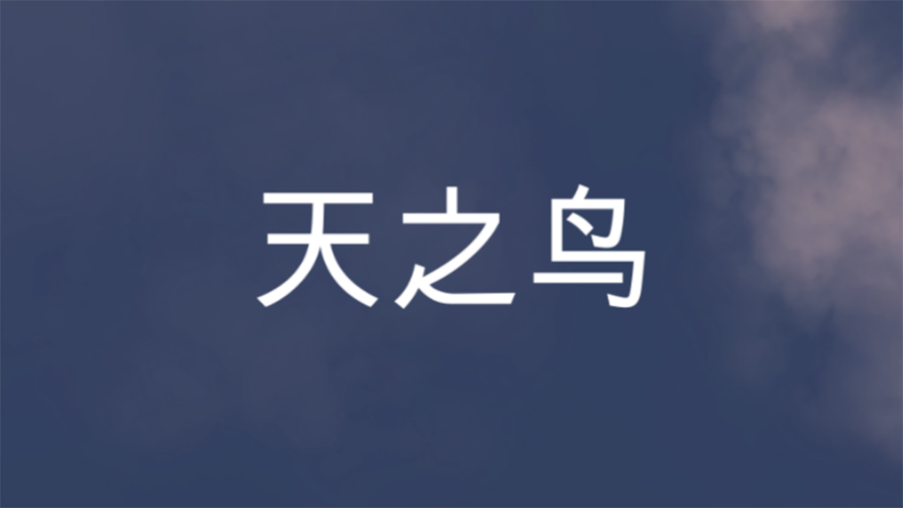 天之鸟