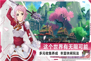 刀剑神域黑衣剑士王牌国服
