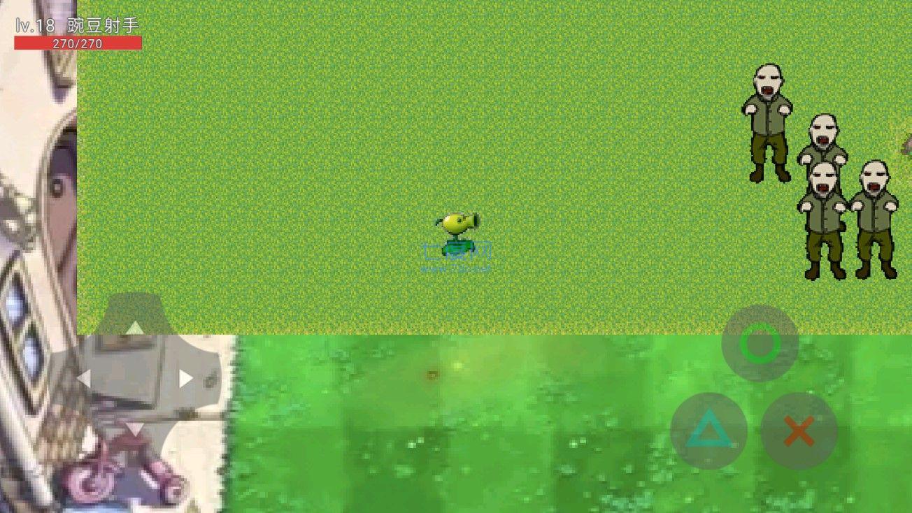 植物大战姜丝游戏 v22.11.021552