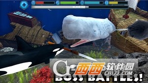 虎鲸模拟(OrcaSim) v1.0.1