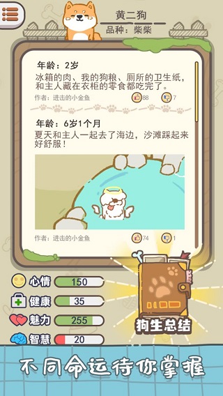 狗子重生模拟器最新版 v1.3