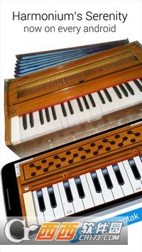 簧风琴(Harmonium)