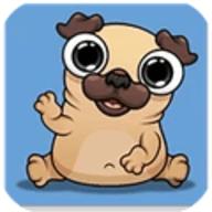 我的宠物帕格Pug