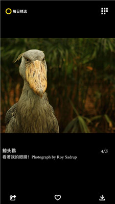 每日精选 v2.6.3