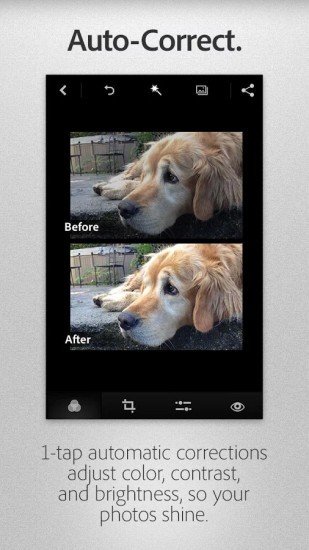 Photoshop 版本:v6.4.597