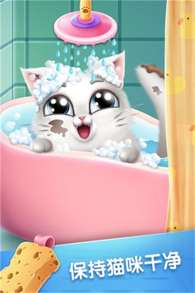 口袋猫咪破解版 v1.0.4