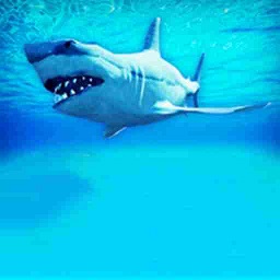 木筏求生2(联机版)