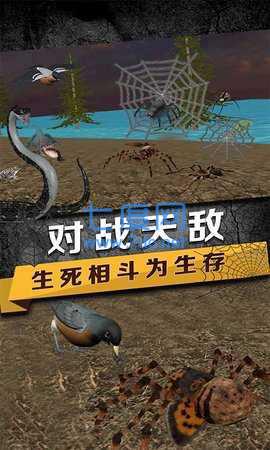 蜘蛛模拟生存