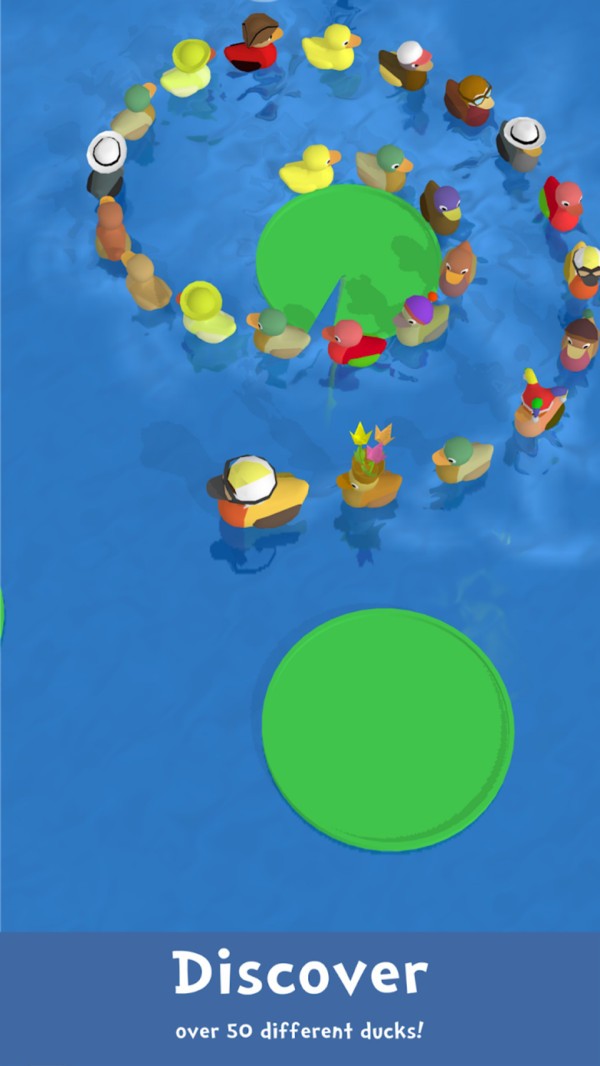 丢失的小鸭子 v1.0.3