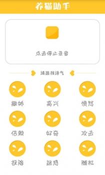 猫咪小助手 v3.2.5