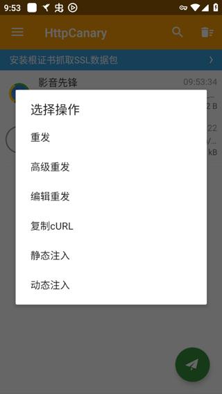 小黄鸟抓包软件