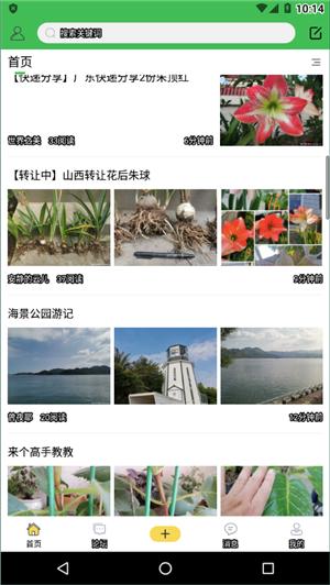 踏花行 v5.0.9