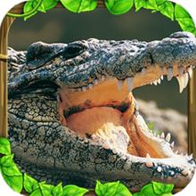 我的动物世界之我的鳄鱼世界
