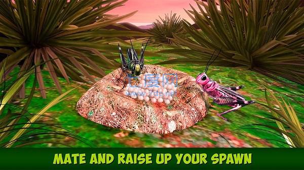 蚱蜢昆虫模拟器