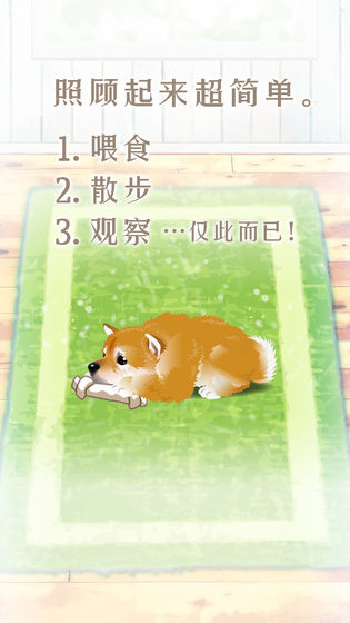 养育柴犬的治愈游戏安卓版  v3.3.4