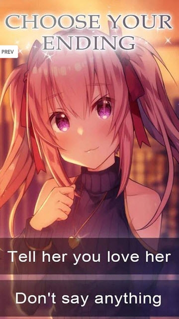 My Time Traveling Girlfriend(我的时间旅行女友) v1.0.0 安卓版