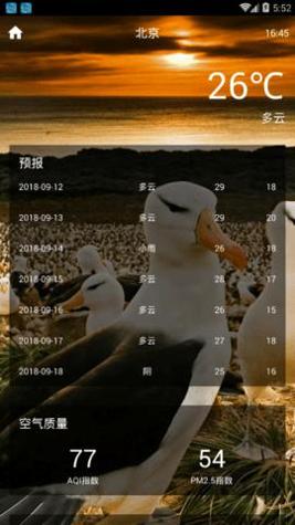 闪电虎天气预报