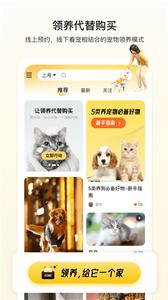 附近有喵  v1.1.1