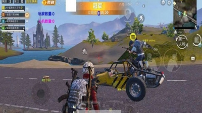 和平精英不求人画质助手.jpg