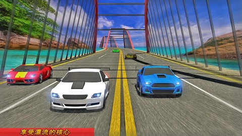 疯狂赛车追逐  v2.0.001