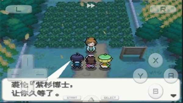 口袋妖怪爆焰黑金手指