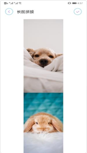 拼长图大师 v1.1