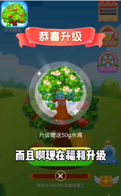 种植小农场