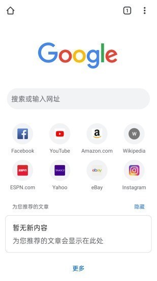 Google Chrome