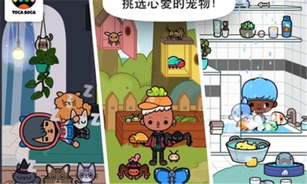 托卡生活宠物密秘空间