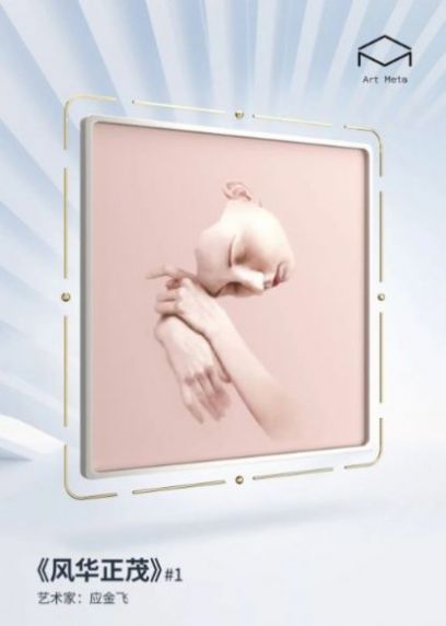 Art Meta元艺术数字藏品交易平台官方版图片1