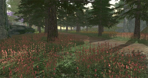 我穿越到灵界  v1.0