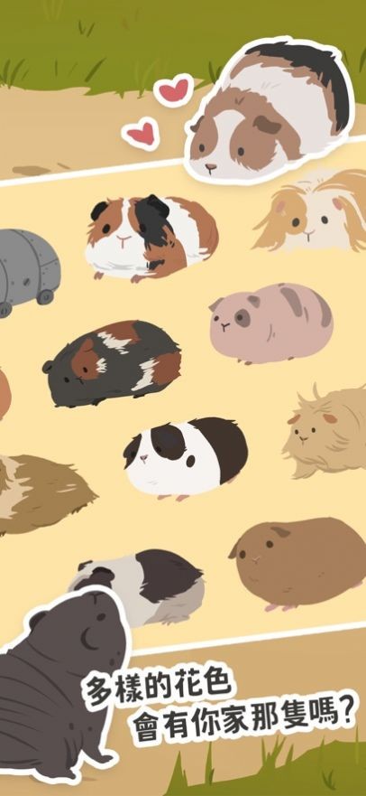 天竺鼠农场  V 0.0.2