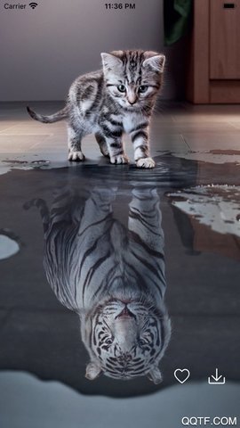 百变桌面壁纸app安卓版 截图3