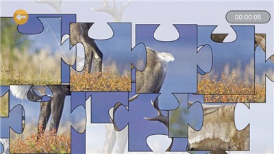 动物经典派舞会  V 1.0