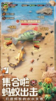 小小蚁国安卓版 v3.0.5