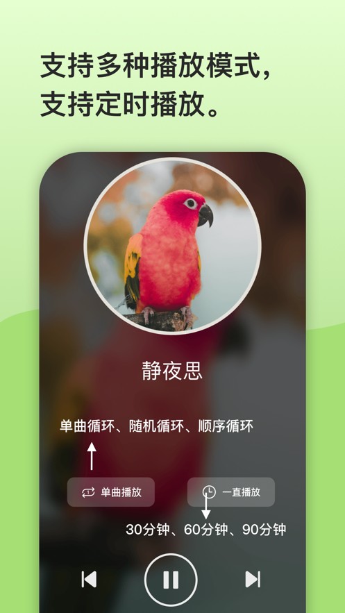 鹦鹉复读机  V 1.1