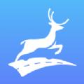 上鹿教练app官方版 