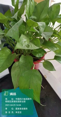 经纬位置打卡相机 1.0