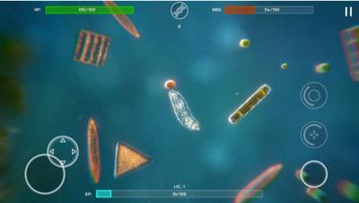 孢子的开始 2024-06-25 15:08