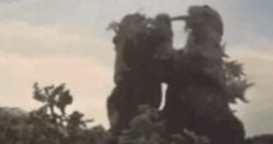 奥特曼给怪兽做核酸检测动图表情包 v1.0