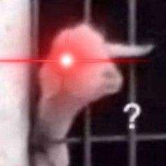 熊猫头红眼特效表情包图片.jpg 熊猫头红眼特效表情包图片.jpg