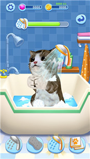 宠物大乐园手游