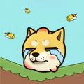 烧脑猜猜猜