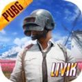 pubg下载(国际服)正版2022最新版 
