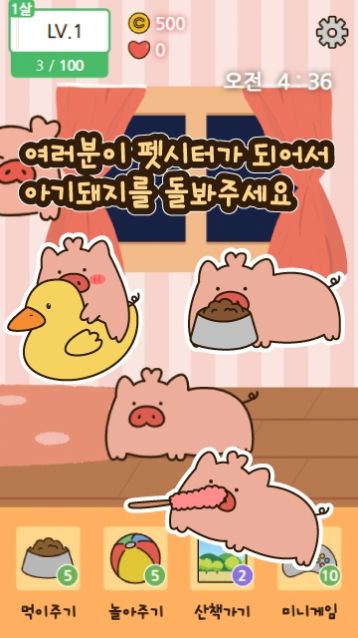 饲养小猪红包版 饲养小猪红包版