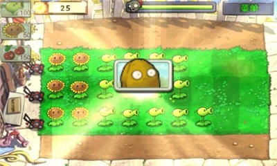 植物大战僵尸西游国际版  v1.0.0