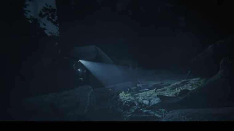 森林之子联机版 v1.0