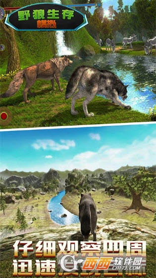 野狼生存模拟截图1